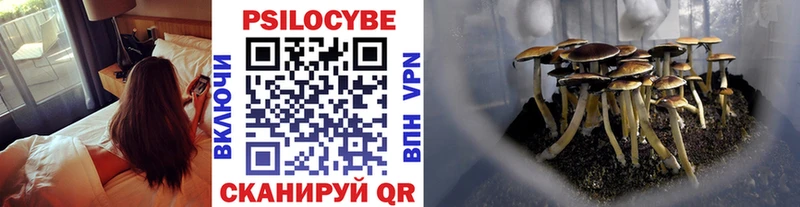 Псилоцибиновые грибы GOLDEN TEACHER Верхнеуральск